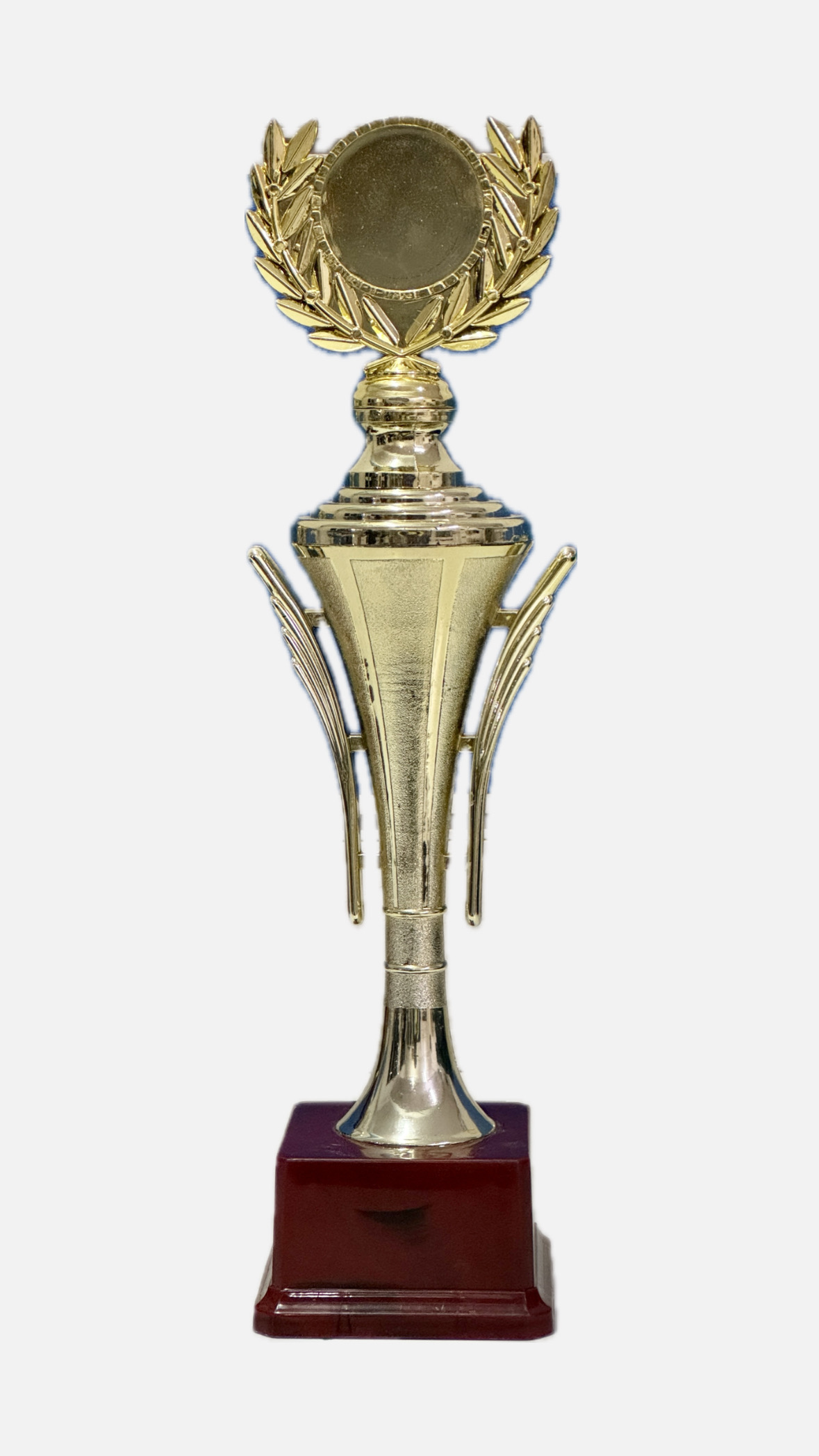 Trophy of 2024